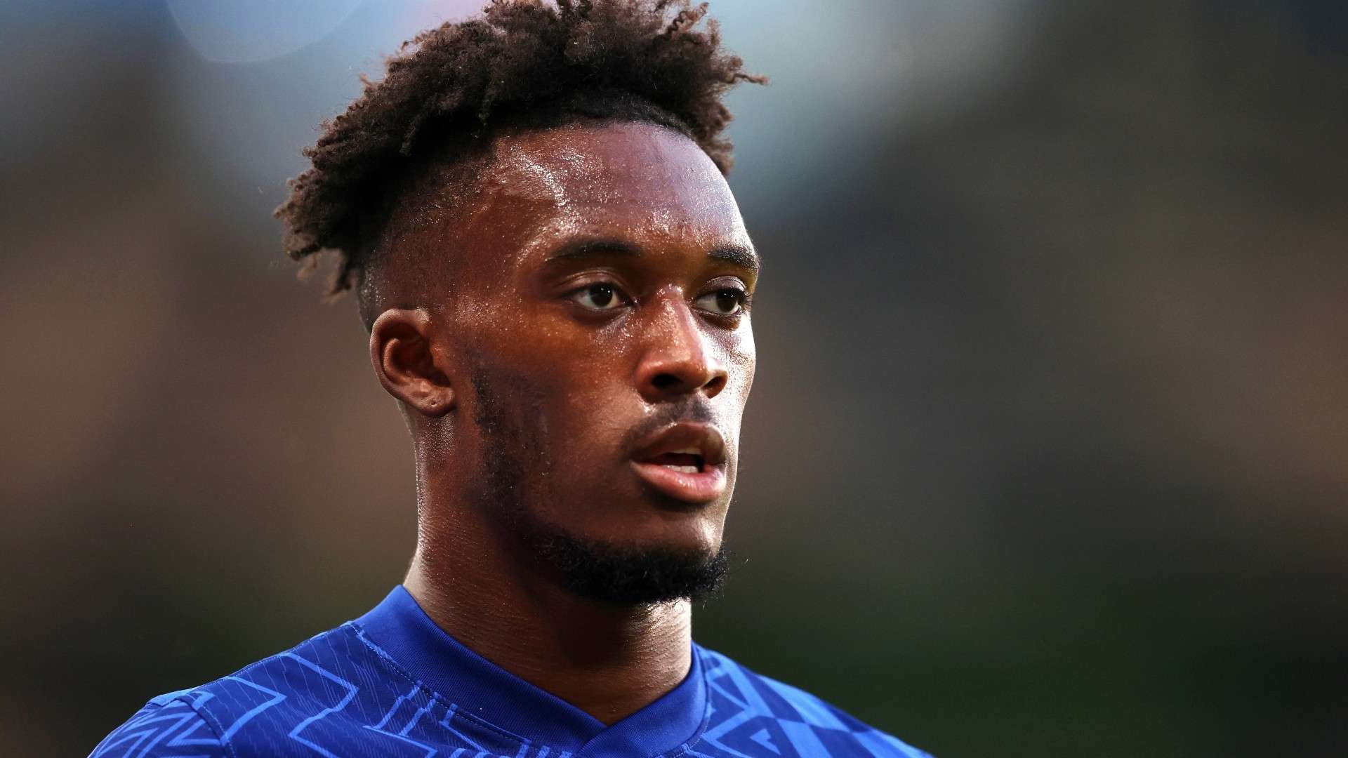 其职业生涯 其职业生涯